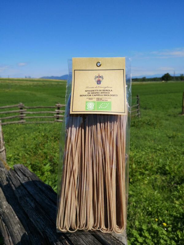 Whole Wheat Spaghetti made from organic ancient Senator Cappelli durum wheat semolina by Camugliano.