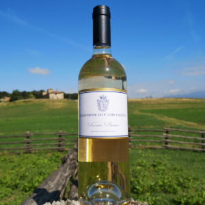 Tuscan White Wine I.G.T. "Marchese di Camugliano" 2020 from Camugliano - Tuscany.