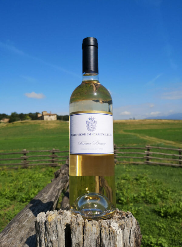 Tuscan White Wine I.G.T. "Marchese di Camugliano" 2020 from Camugliano - Tuscany.