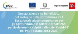 banner-agriturismo-2_PSR banner-agriturismo-2_PSR
